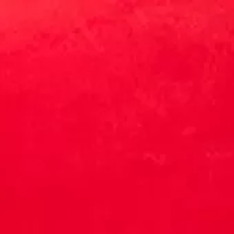 Women's Long Sleeve Velour Notch Tunic Top