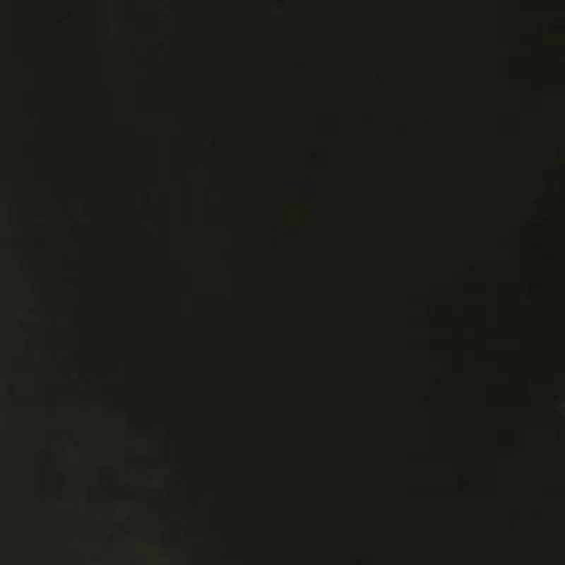 Plus Long Sleeve Button Front Dress