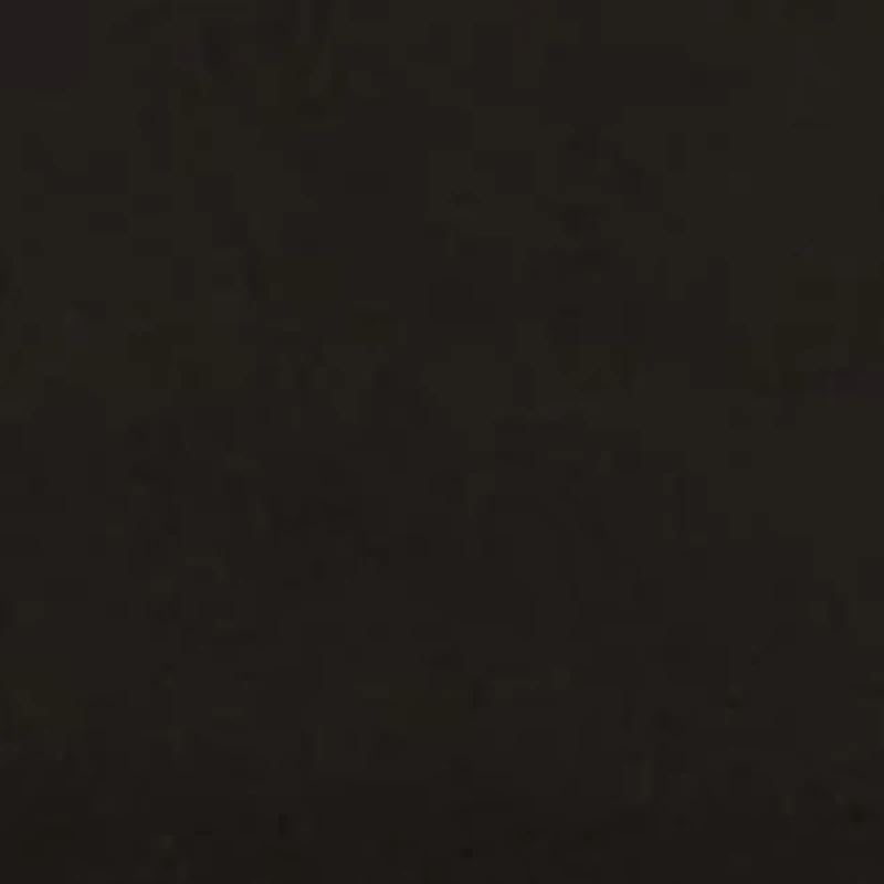 Medium Impact Solid Bra