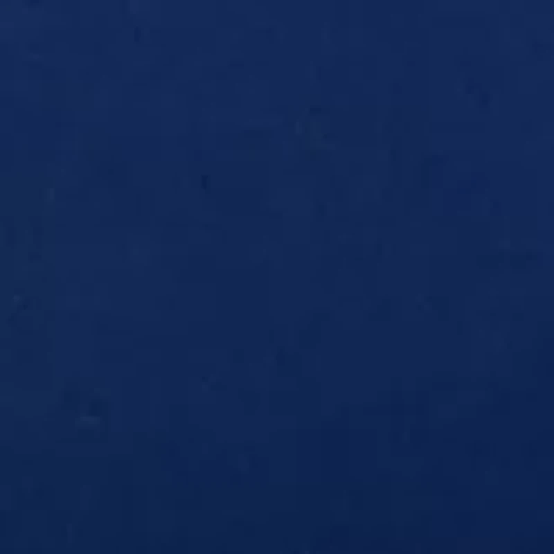 Plus Impact Sports Bra