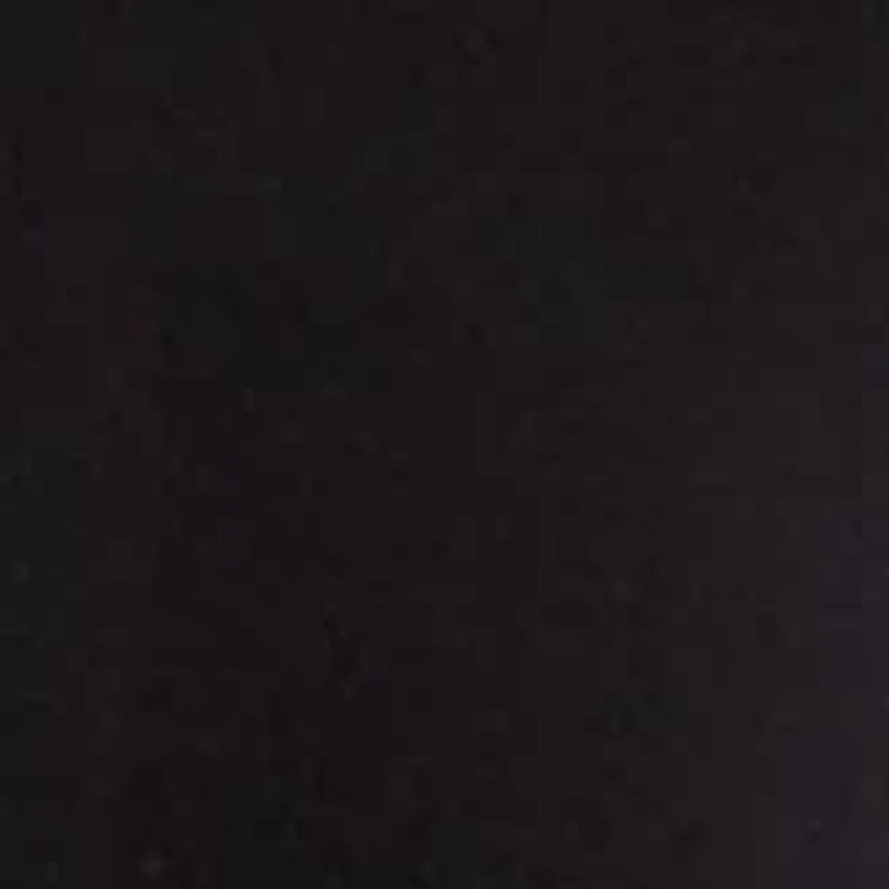 Petite Short Sleeve Crew Neck T-Shirt