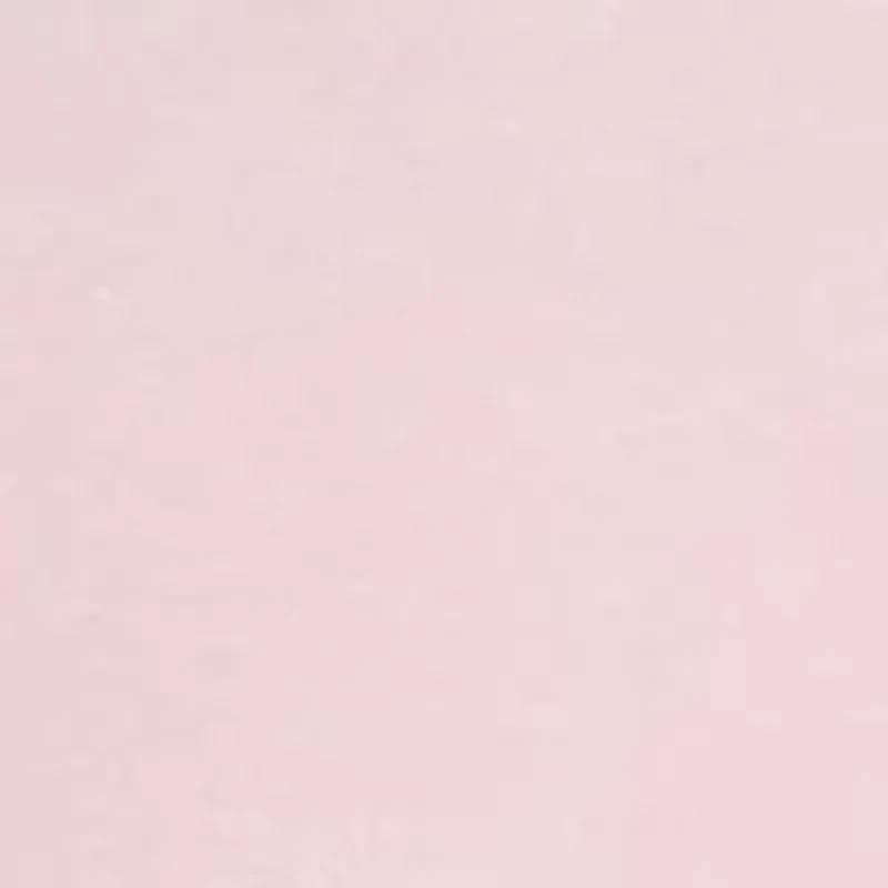 Petite Short Sleeve Scallop Shirt