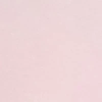 Petite Short Sleeve Scallop Shirt