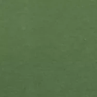 Petite Solid Cotton T-Shirt