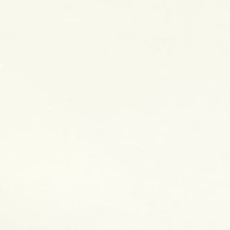 Petite Long Sleeve Cotton T-Shirt