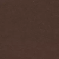 Petite Long Sleeve Cotton T-Shirt