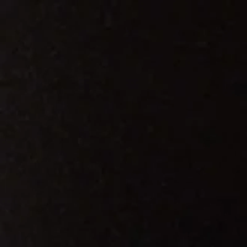 Petite Long Sleeve Mock Neck Knit T-Shirt