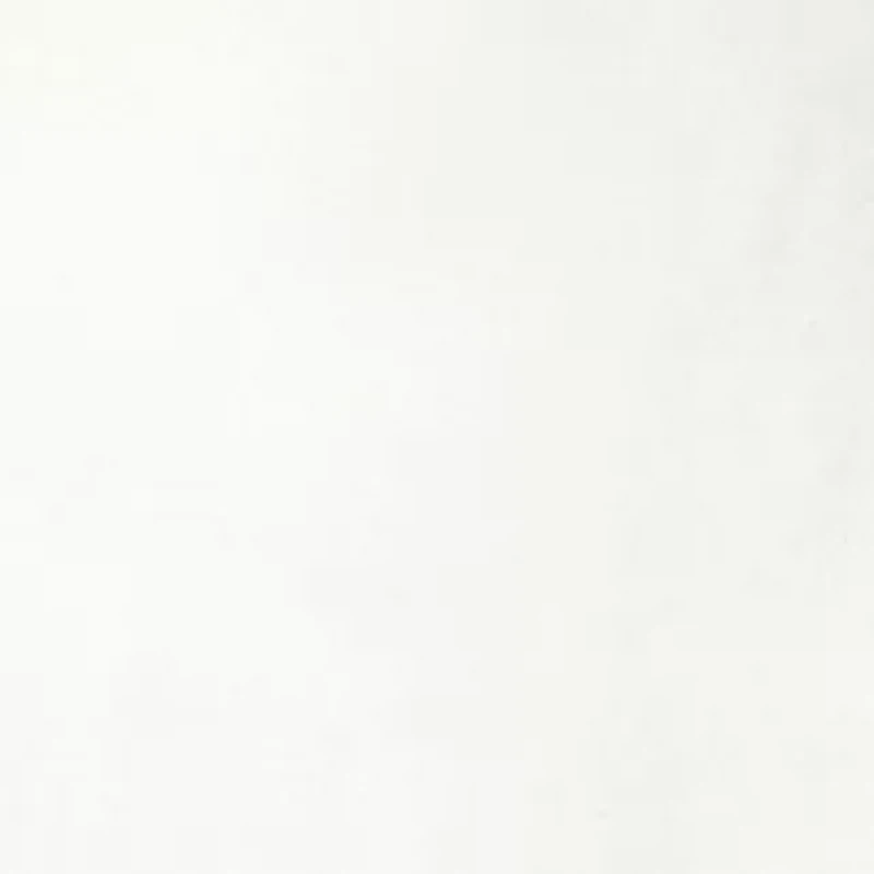 Petite Crew Neck Placement T-Shirt