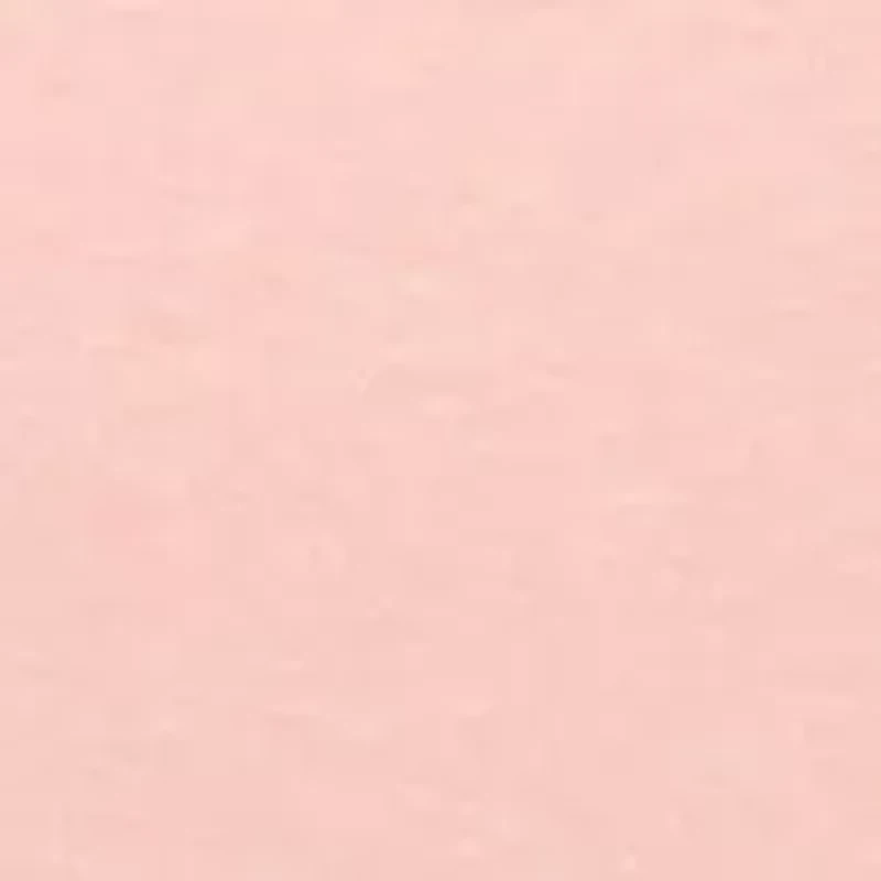 Petite Short Sleeve V-Neck T-Shirt