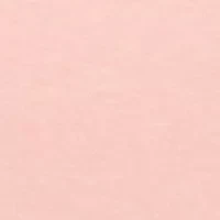 Petite Short Sleeve V-Neck T-Shirt