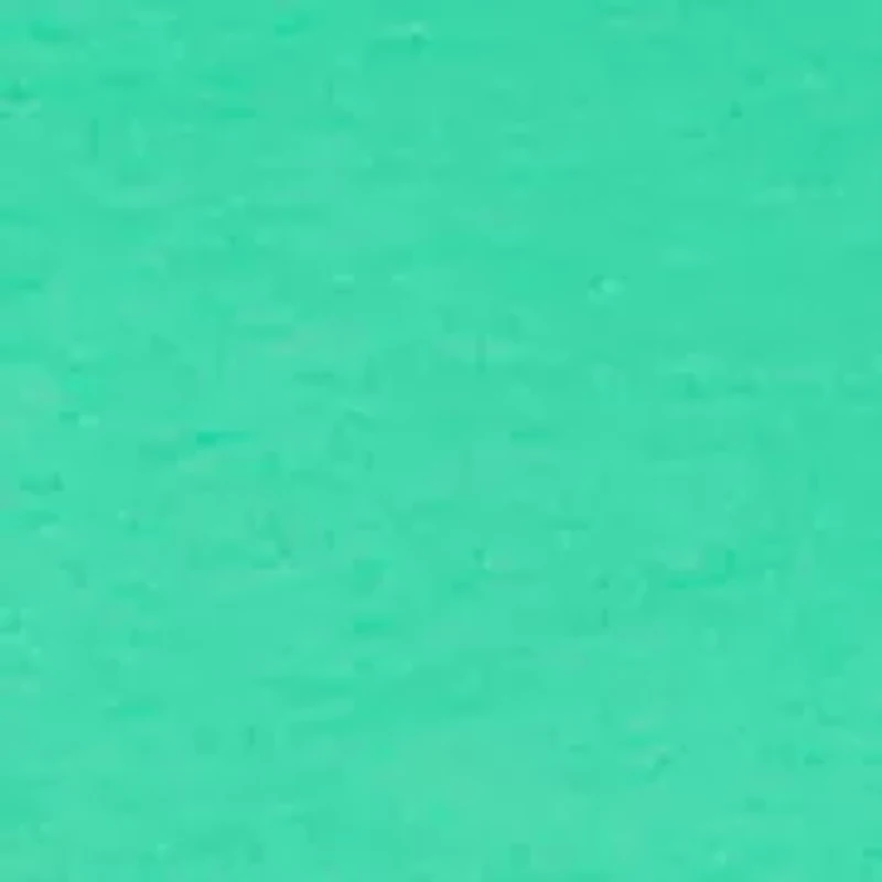 Petite Graphic T-Shirt