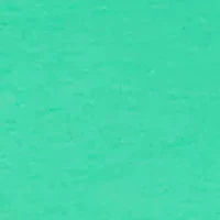 Petite Graphic T-Shirt