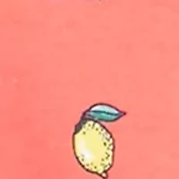 Petite Short Sleeve V-Neck Printed T-Shirt