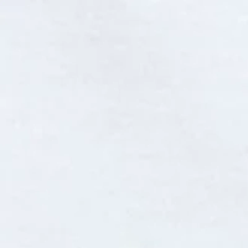 Petite Short Sleeve Crew Neck Graphic T-Shirt