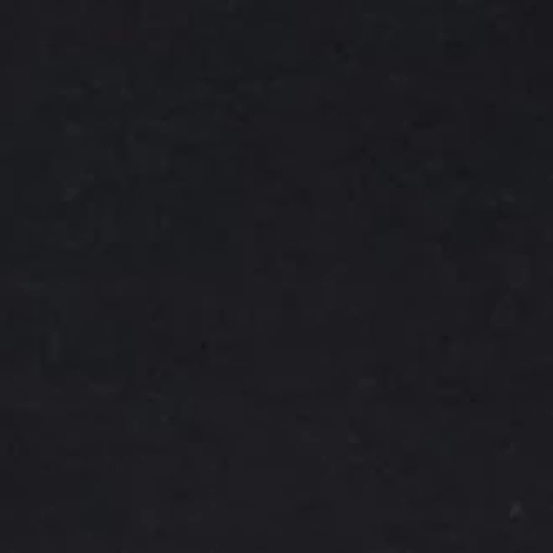 Petite Solid Cotton T-Shirt