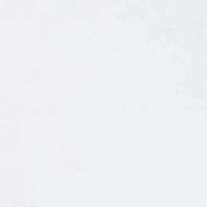 Petite Solid Cotton T-Shirt