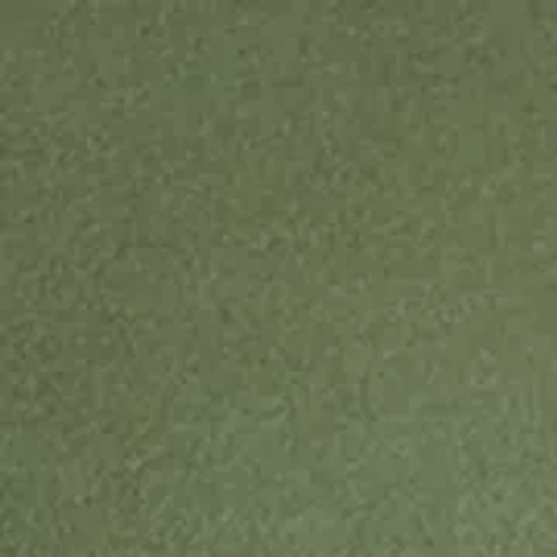 Petite Three-Quarter Crew Neck Fashion Solid T-Shirt