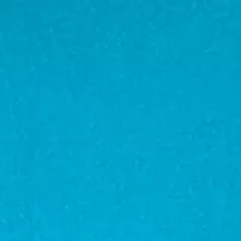 Petite Three-Quarter Crew Neck Fashion Solid T-Shirt