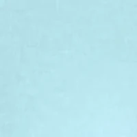 Petite Short Sleeve Heather T-Shirt