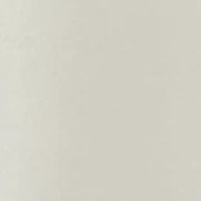 Petite Graphic Crew Neck T-Shirt