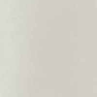 Petite Graphic Crew Neck T-Shirt