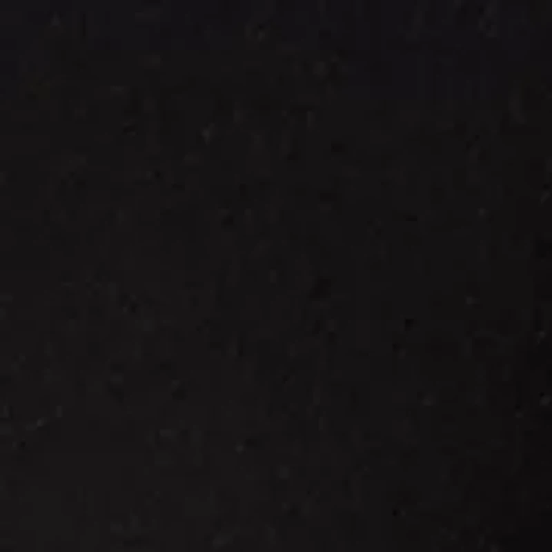 Petite V-Neck T-Shirt