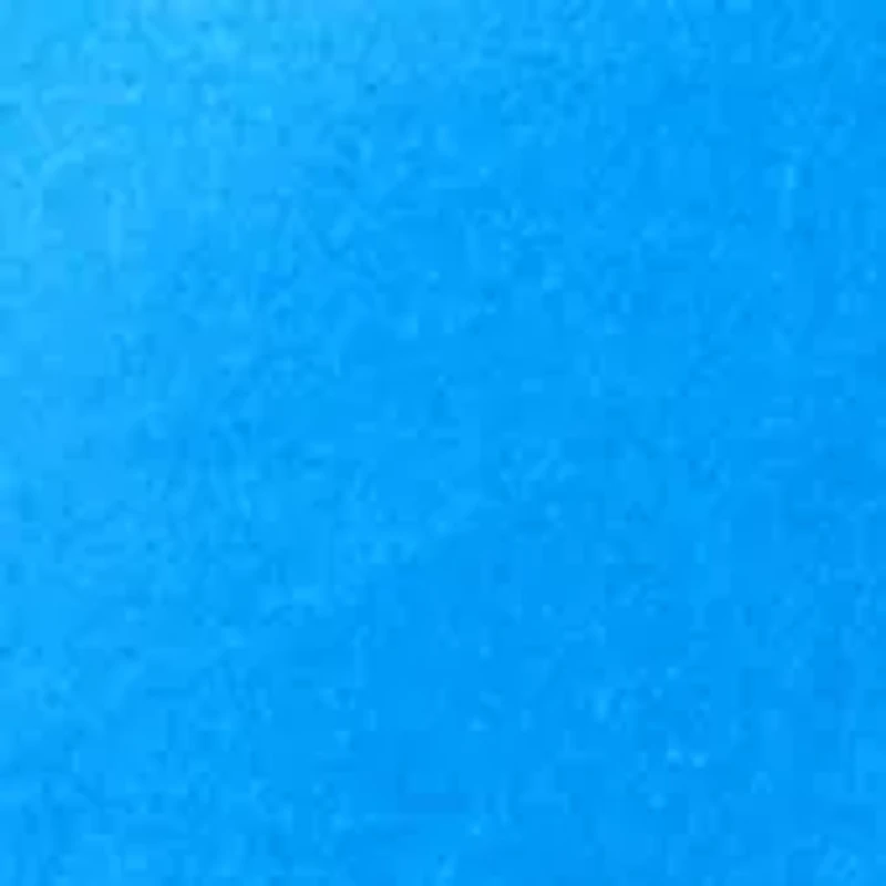 Petite 3/4 Crew Fashion Top