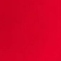 Petite 3/4 Crew Fashion Top