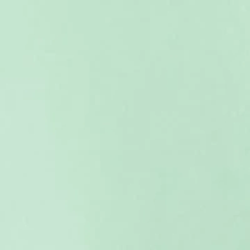 Petite Long Sleeve Crew Neck Shirt