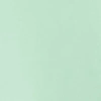 Petite Long Sleeve Crew Neck Shirt