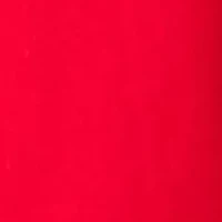 Petite Long Sleeve Holiday Graphic T-Shirt