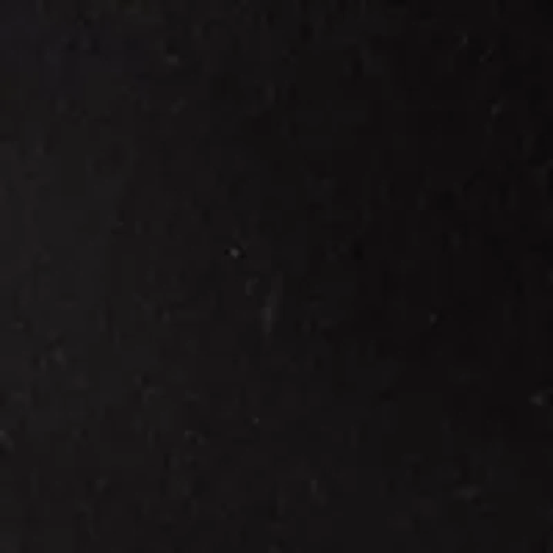 Petite Long Sleeve Mock Neck T-Shirt