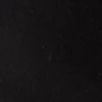 Petite Long Sleeve Mock Neck T-Shirt