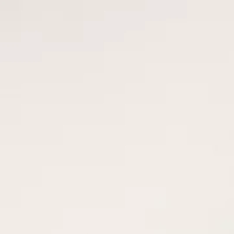 Petite Long Sleeve Mock Neck T-Shirt