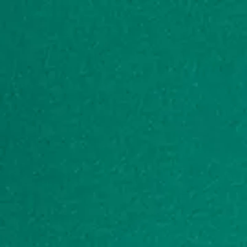 Petite Mock Neck Solid Top