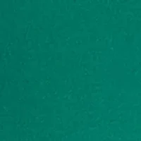 Petite Mock Neck Solid Top