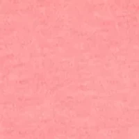 Petite Crew Neck Top