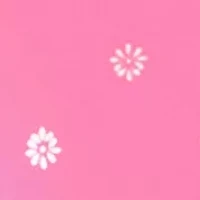 Petite Printed Crew Neck T-Shirt