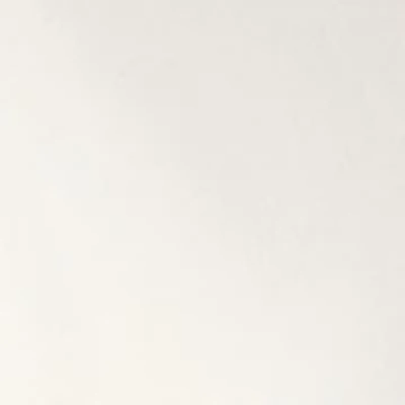 Petite Crew Neck Graphic T-Shirt