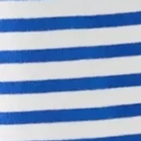Petite Short Sleeve Striped Americana Flag Graphic T-Shirt