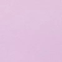 Petite Short Ladder Sleeve T-Shirt