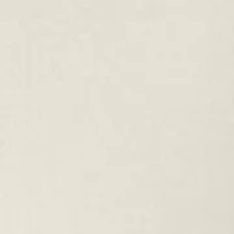 Petite 3/4 Sleeve T-Shirt