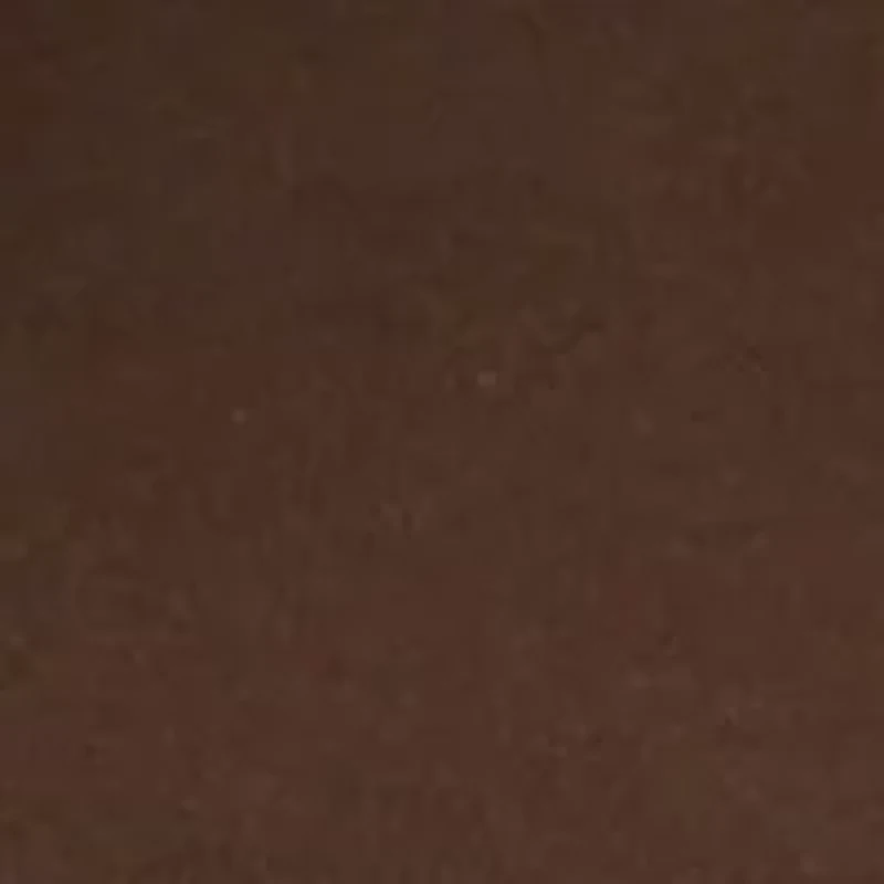 Petite 3/4 Sleeve T-Shirt