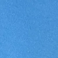 Petite Three-Quarter Sleeve Graphic Top