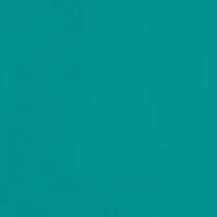 Women's Solid Fashion T-Shirt