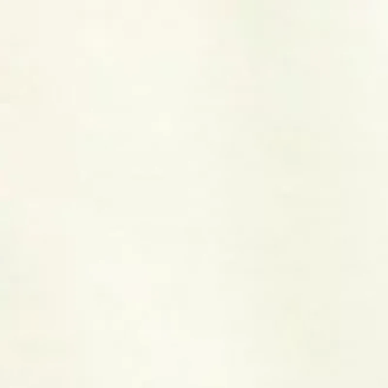 Women's 3/4 Sleeve Holiday Graphic T-Shirt