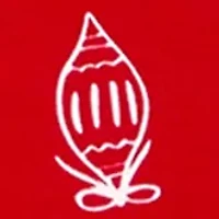 Women's 3/4 Sleeve Printed Henley Top