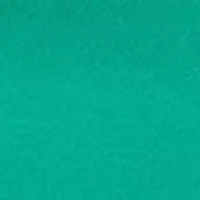 Women's Long Sleeve Mock Neck Top