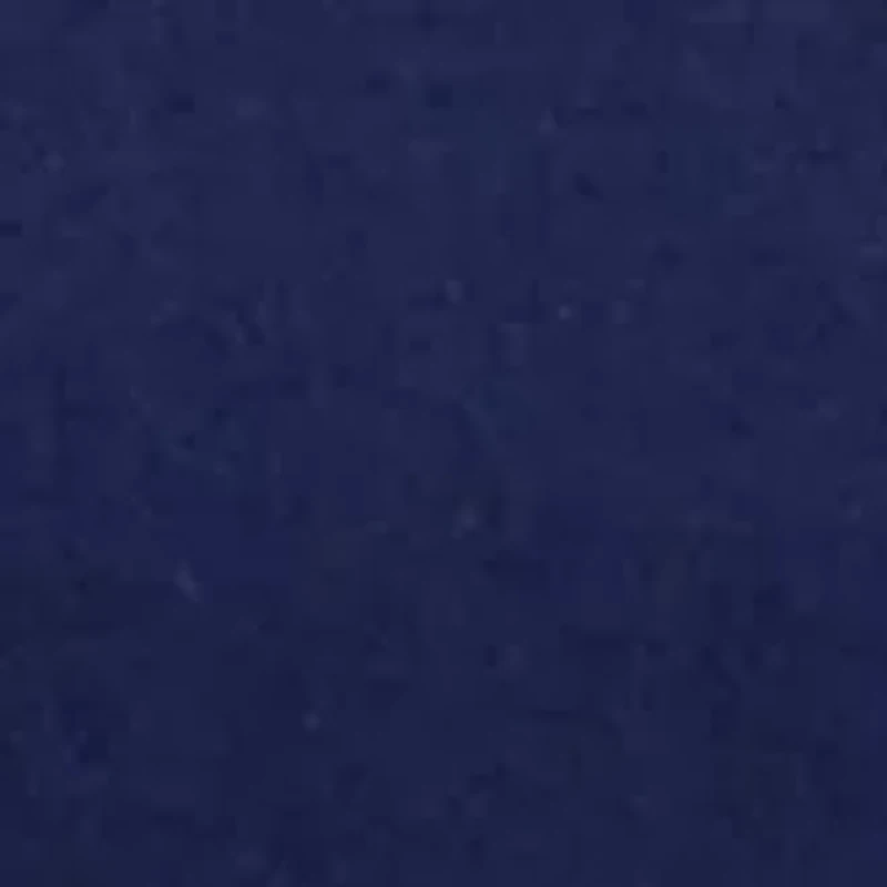 Women's Placement Printed Top