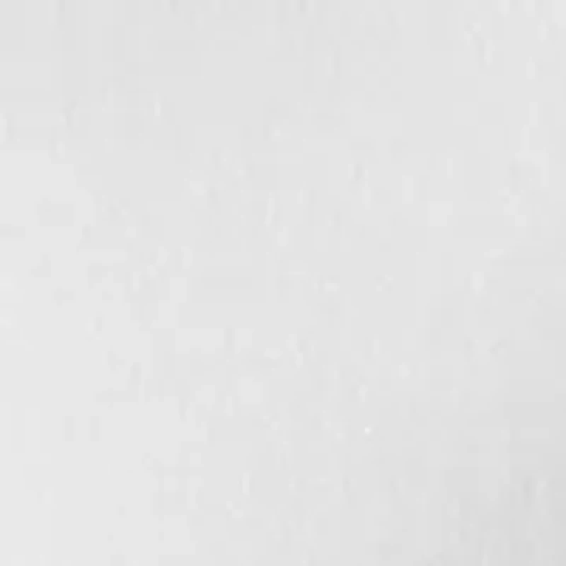 Women's Graphic Crew Neck T-Shirt